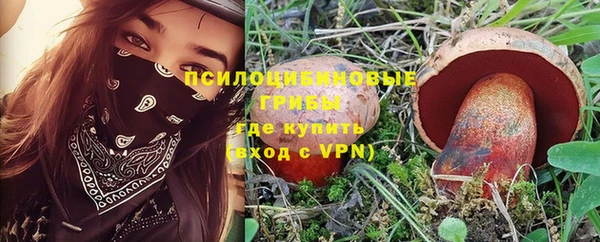 дурь Арсеньев