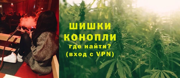 дурь Арсеньев