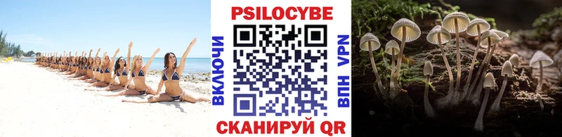hydra как войти  где найти   Сосенский  Галлюциногенные грибы Cubensis 